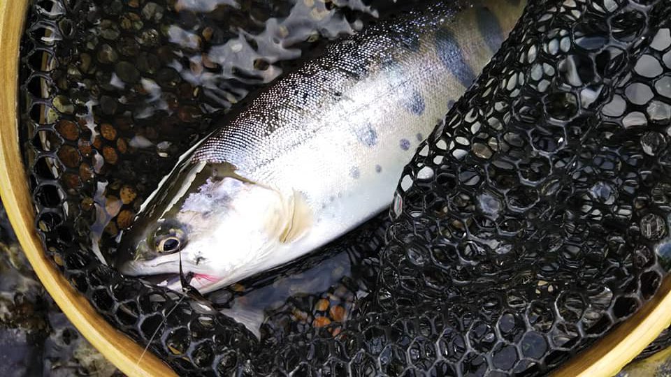 氷上ワカサギ釣りまでもうすぐのイメージ